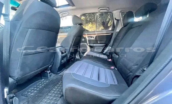 人気のクリスマスアイテムがいっぱい！ en Carros venta nicaragua.carrocarros - nicaragua en ポケモンカードゲーム